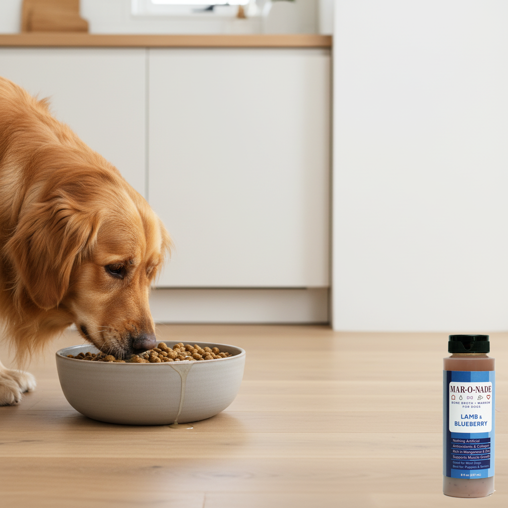 Lamb & Blueberry Bone Broth + Marrow for Dogs