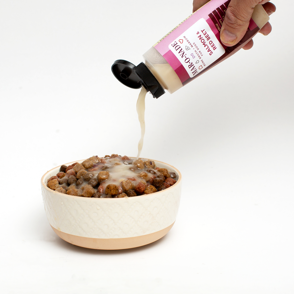 Salmon & Red Beet Bone Broth + Marrow for Dogs