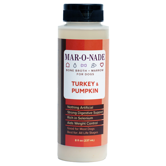 Turkey & Pumpkin Bone Broth + Marrow for Dogs